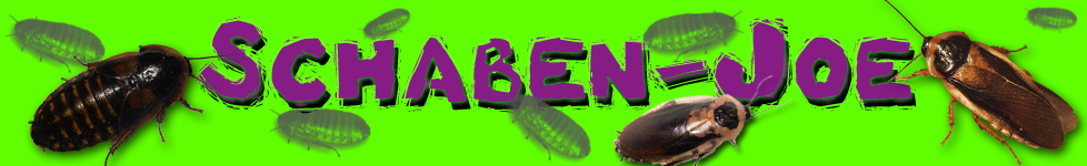 Schaben-Joe-Logo