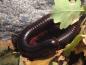 Preview: Riesen-Tausendfüßer (Archispirostreptus gigas) Preview: Riesen-Tausendfüßer (Archispirostreptus gigas)