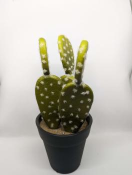 Terrariumdeko