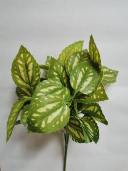 Dekopflanze "Fittonia" 27cm