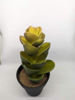 Terrariumdeko