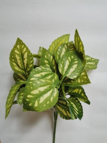 Dekopflanze "Fittonia" 27cm