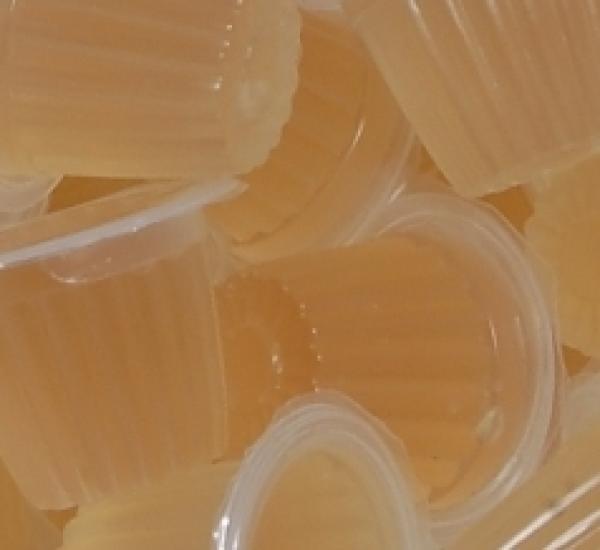 Beetle Jelly Honig 16g Beetle Jelly Honig 16g